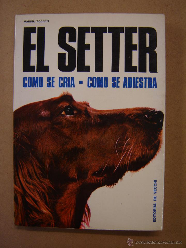 Libros de segunda mano: El setter  - Marina Roberti - Foto 1