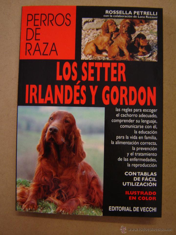Libros de segunda mano: El setter irland&eacute;s y gordon - Rosella Petrelli