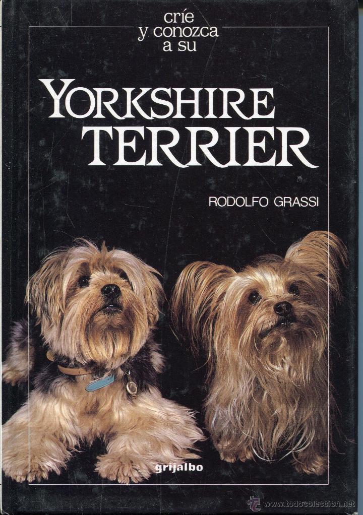 Libros de segunda mano: crie y conozca a su yorkshire terrier - Foto 1