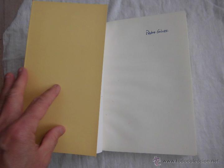 Libros de segunda mano: NUMANCIA .JOSE LUIS CORRAL.EDICIONES FOLIO 2006 - Foto 2