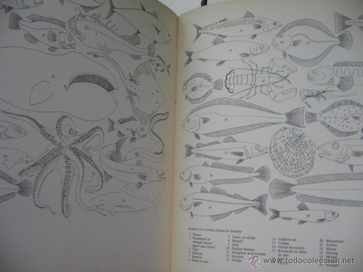 Libros de segunda mano: Encyclop&eacute;die illust&eacute;e des bateaux. Robert Laffont, Paris. 1965. - Foto 5