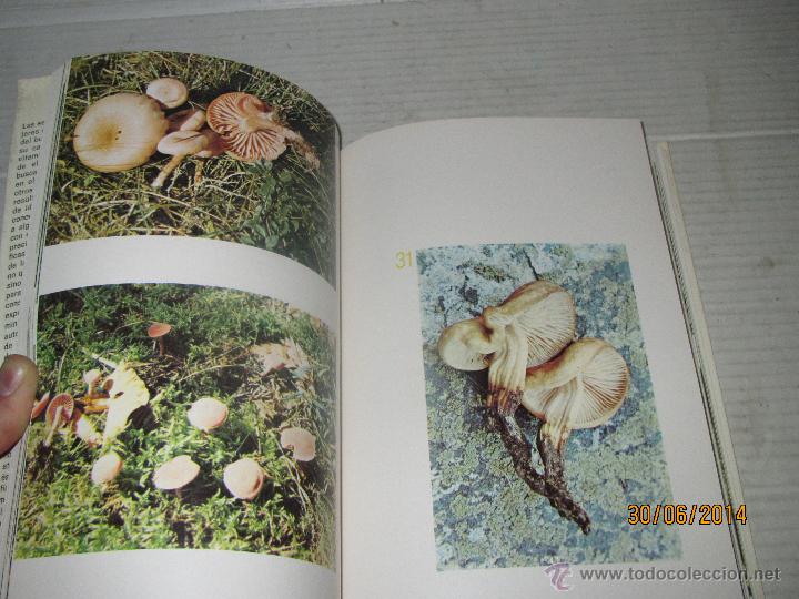 Libros de segunda mano: EL GRAN LIBRO DE LAS SETAS Dr. Pedro Luis Viani  - Editorial  de Vecchi - A&ntilde;o 1975 - Foto 5