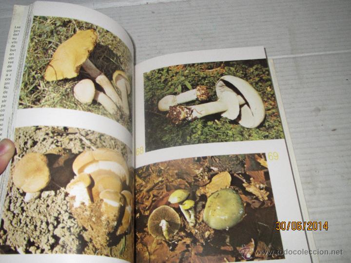 Libros de segunda mano: EL GRAN LIBRO DE LAS SETAS Dr. Pedro Luis Viani  - Editorial  de Vecchi - A&ntilde;o 1975 - Foto 6