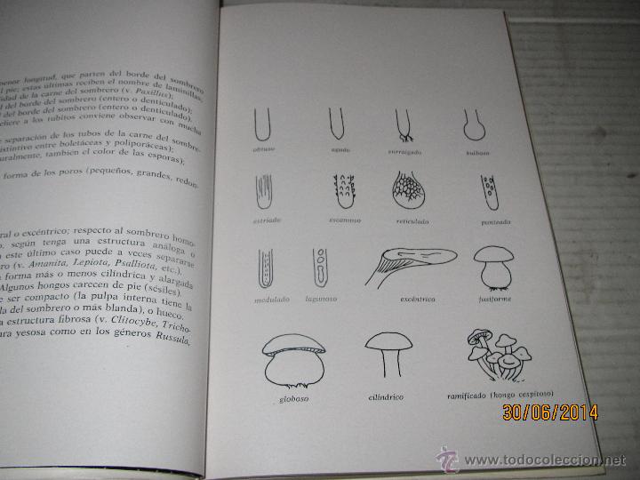 Libros de segunda mano: EL GRAN LIBRO DE LAS SETAS Dr. Pedro Luis Viani  - Editorial  de Vecchi - A&ntilde;o 1975 - Foto 9