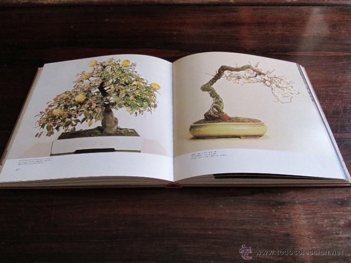 Libros de segunda mano: Bonsai &bull; &Aacute;rboles en miniatura --- Paul Lesniewicz - Foto 3