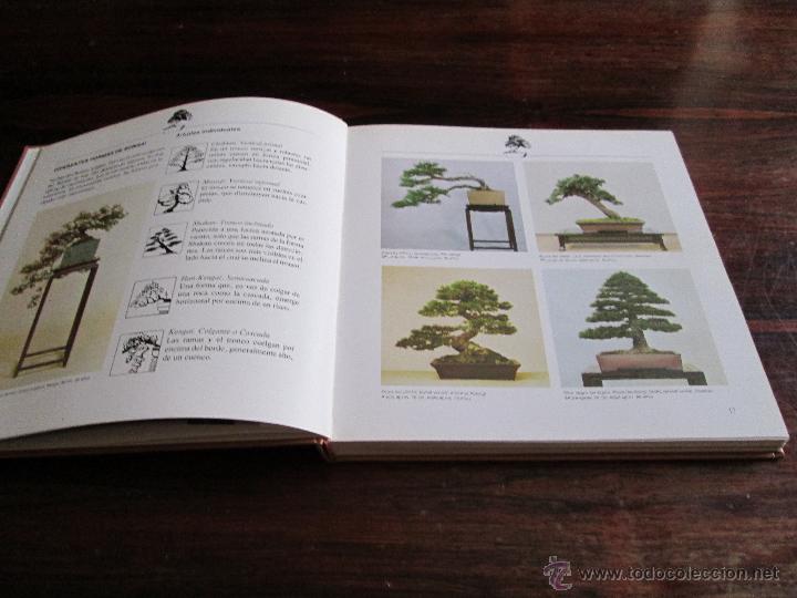 Libros de segunda mano: Bonsai &bull; &Aacute;rboles en miniatura --- Paul Lesniewicz - Foto 4