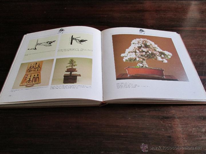 Libros de segunda mano: Bonsai &bull; &Aacute;rboles en miniatura --- Paul Lesniewicz - Foto 6