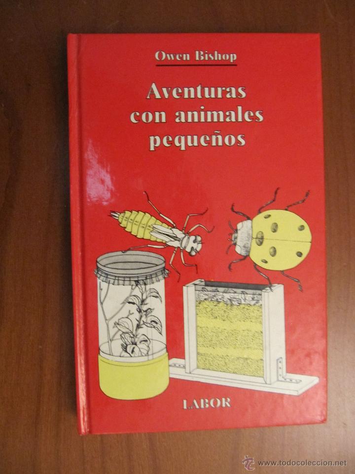 Libros de segunda mano: Aventuras con animales peque&ntilde;os. Owen Bishop. Ed. Labor - Foto 1