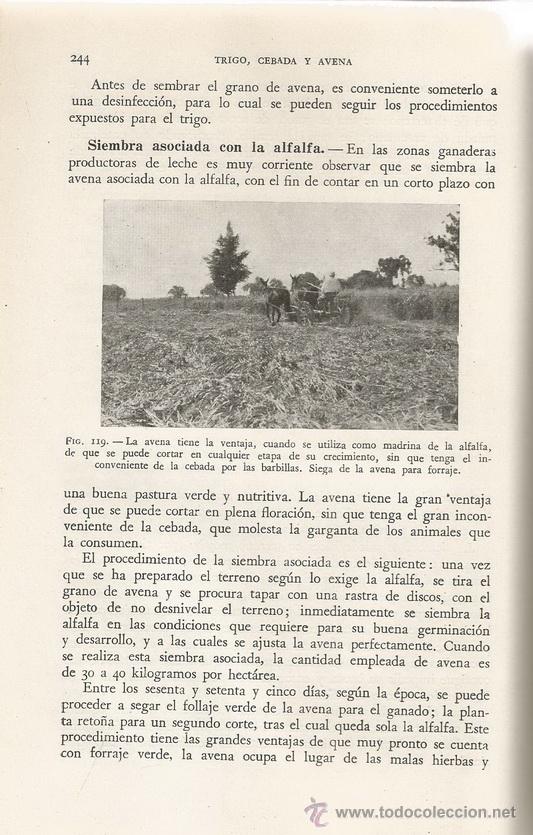 Libros de segunda mano: ALFONSO D&Iacute;AZ DEL PINO. Cereales de Primavera. RM65976. - Foto 2
