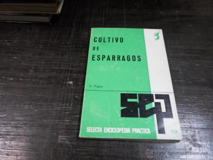 Libros de segunda mano: A. Rigau, Cultivo de Esparragos, n&ordm; 79 - Foto 1