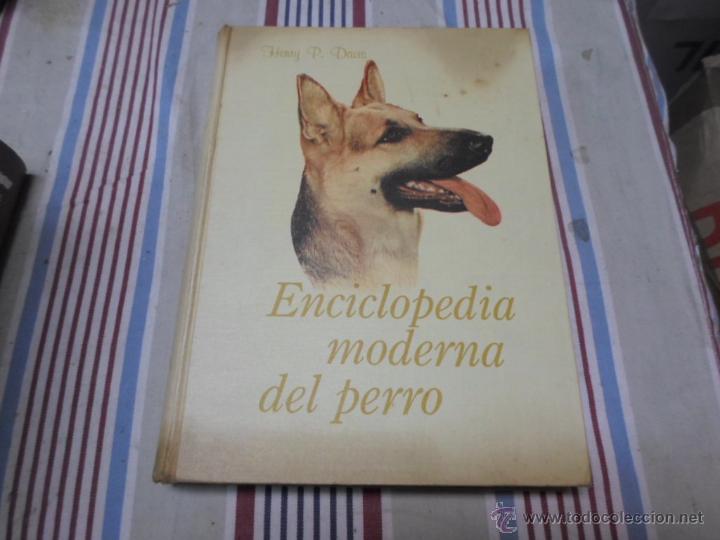 Libros de segunda mano: Henry P.Davis, Enciclopedia Moderna del perro, Mexico, 1995 - Foto 1