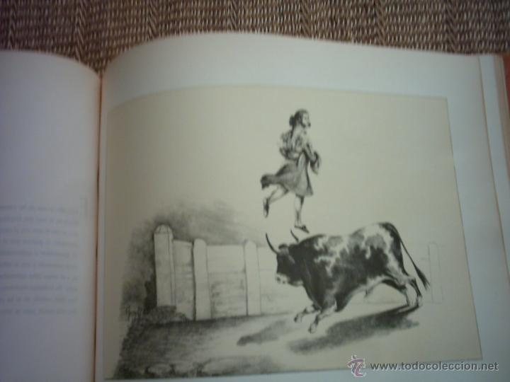 Libros de segunda mano: FRANCISCO DE PAULA VAN HALEN. FUNCI&Oacute;N DE TOROS.  20 LITOGRAF&Iacute;AS. 275 ELEMPLARES. - Foto 4