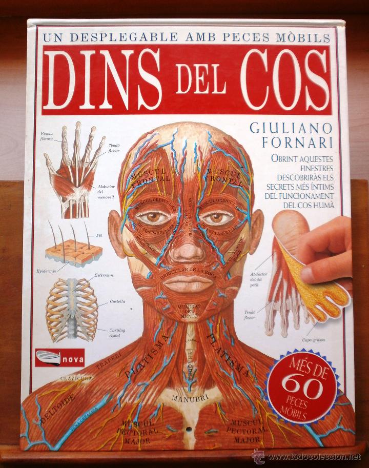Libros de segunda mano: LLJ 19 Dins del Cos de Giuliano Fornari - Libro despegable con piezas movibles - Ed Barcanova