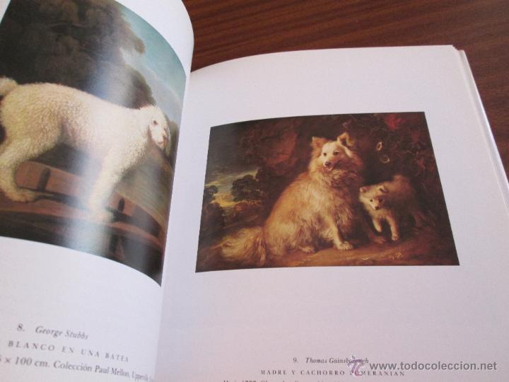Libros de segunda mano: El perro en el arte del Rococ&oacute; al Posmoderno --- Robert Rosenblum - Foto 8