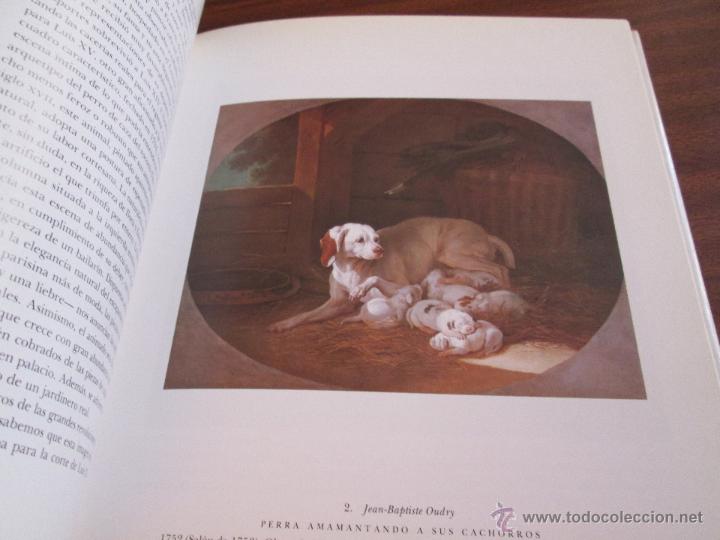 Libros de segunda mano: El perro en el arte del Rococ&oacute; al Posmoderno --- Robert Rosenblum - Foto 1