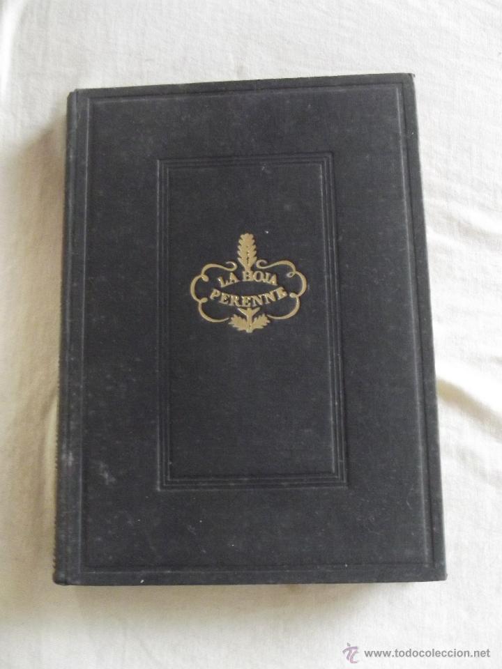 Libros de segunda mano: LA HOJA PERENNE - LA GRAN TRAICION POR PIERRE BENOIT - Foto 1