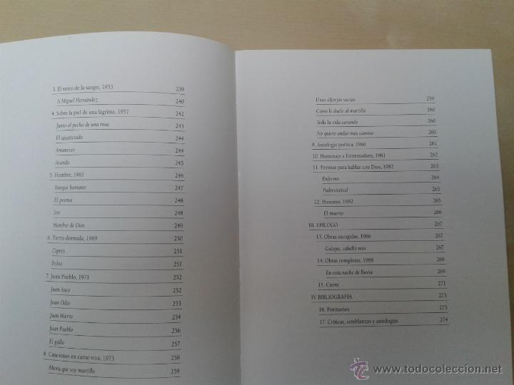 Libros de segunda mano: OBRA PL&Aacute;STICA Y PO&Eacute;TICA DE LUIS &Aacute;LVAREZ LENCERO. A&Ntilde;O 2004 - Foto 5