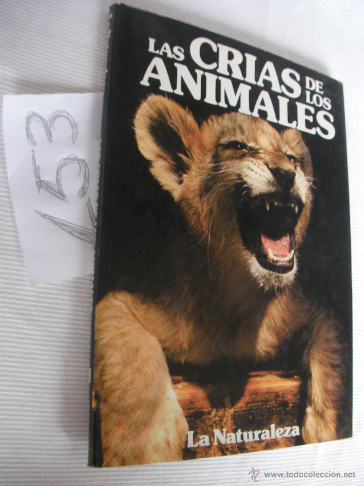 Libros de segunda mano: LAS CRIAS DE LOS ANIMALES - ENVIO GRATIS A ESPA&Ntilde;A - Foto 1