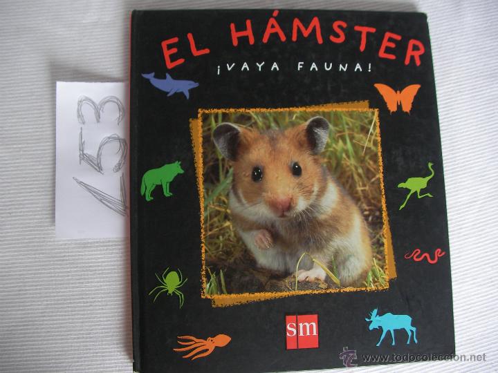 Libros de segunda mano: EL HAMSTER - ENVIO GRATIS A ESPA&Ntilde;A - Foto 1