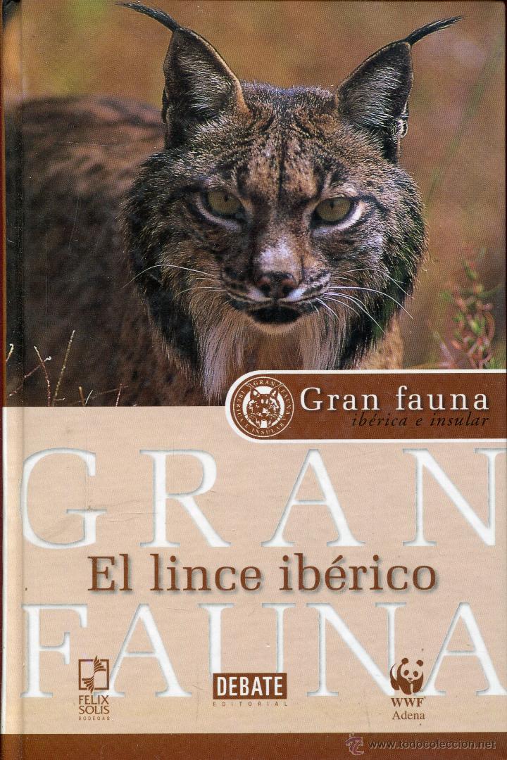 Libros de segunda mano: el lince iberico  --bartolome zofio e isaac vega - Foto 1