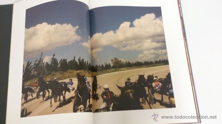 Libros de segunda mano: Al trot. Varis autors, 2011 - Foto 3