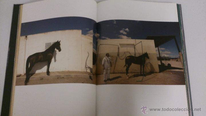 Libros de segunda mano: Al trot. Varis autors, 2011 - Foto 4