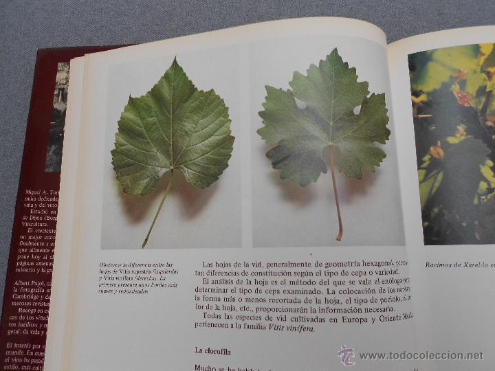 Libros de segunda mano: VI&Ntilde;AS Y VINOS - Foto 3