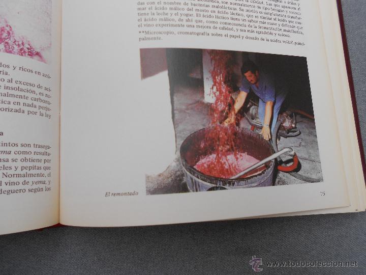 Libros de segunda mano: VI&Ntilde;AS Y VINOS - Foto 5