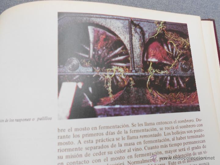 Libros de segunda mano: VI&Ntilde;AS Y VINOS - Foto 6
