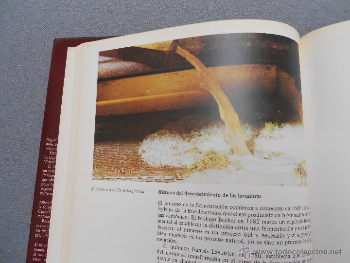 Libros de segunda mano: VI&Ntilde;AS Y VINOS - Foto 7