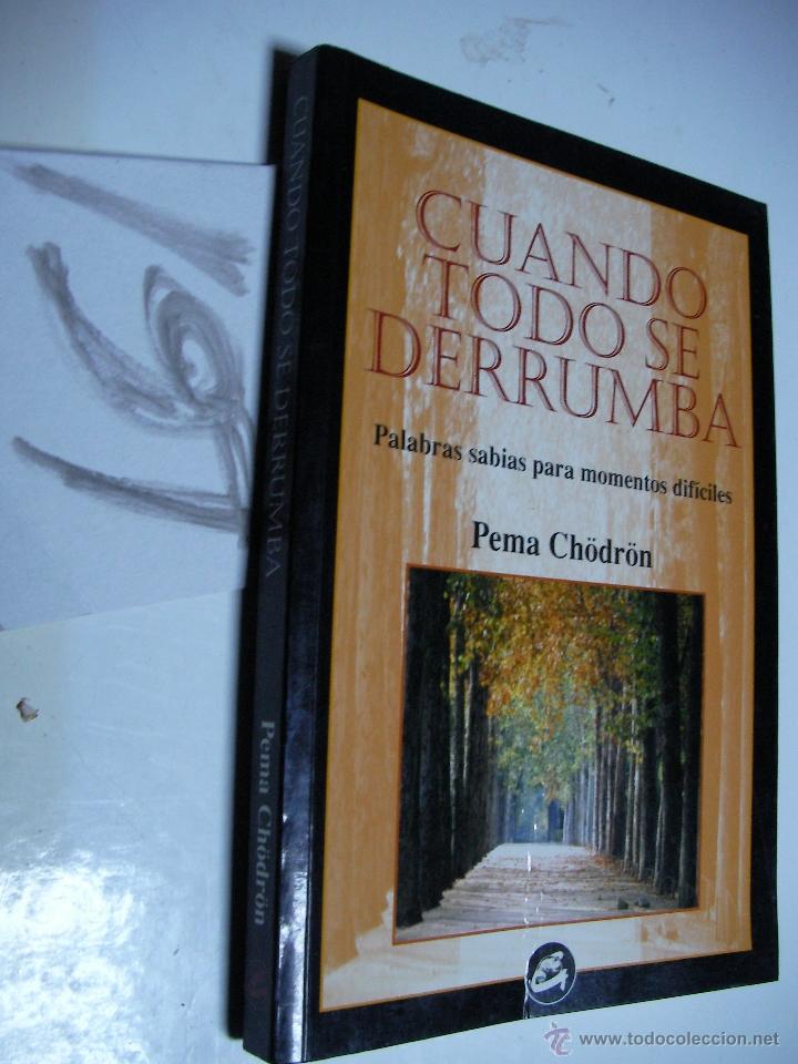 Libros de segunda mano: CUANDO TODO SE DERRUMBA - PEMA CHODRON - Foto 1