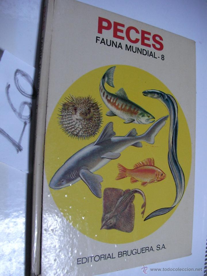 Libros de segunda mano: ANTIGUO LIBRO - PECES - EDITORIAL BRUGUERA - Foto 1