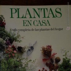 Libros de segunda mano: PLANTAS EN CASA. GUIA COMPLETA DE LAS PLANTAS DEL HOGAR. ORBIS FABBRI.