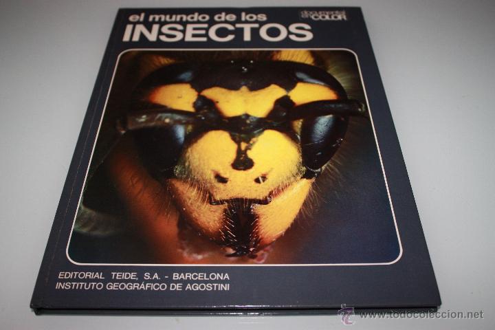 Libros de segunda mano: El Mundo de Los Insectos - Documental en Color - A&ntilde;o 1973 - Teide - Foto 1
