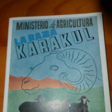 Libros de segunda mano: LA RAZA KARAKUL - MINISTERIO DE AGRICULTURA 1946 - GANADERIA -. Lote 46753666