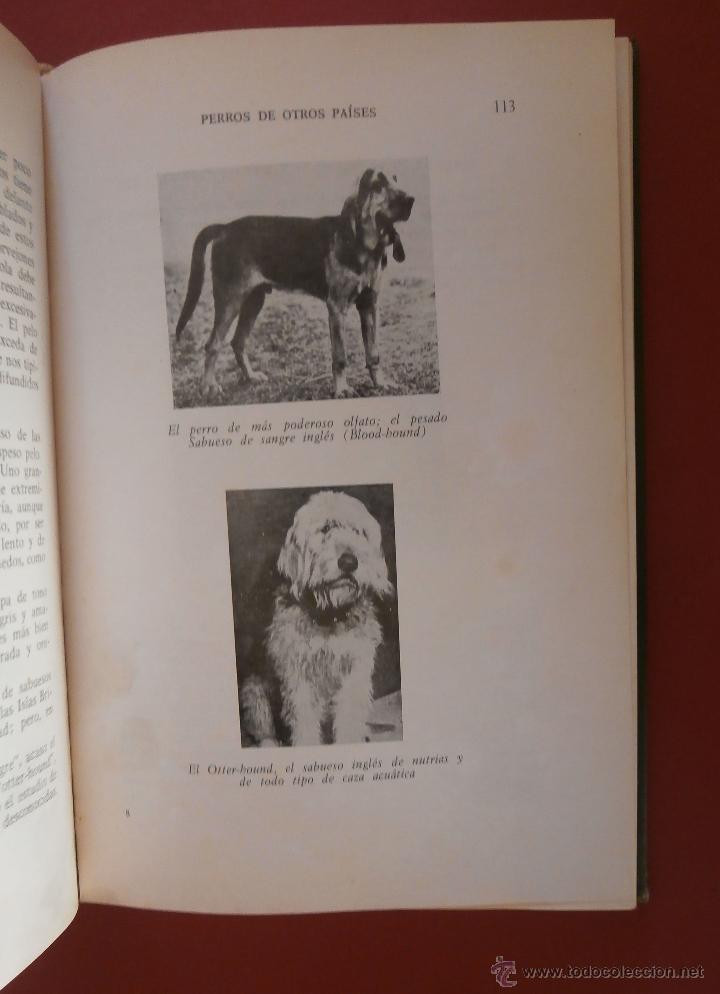 Libros de segunda mano: Perros de Caza. Fernando Huerta Ramirez - Foto 2