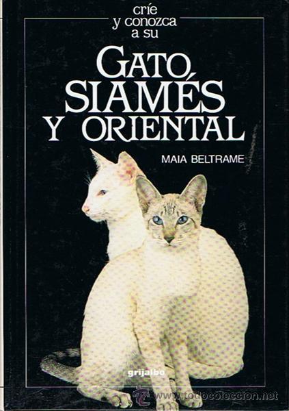 Libros de segunda mano: GATO SIAM&Eacute;S Y ORIENTAL MAIA BELTRAME - Foto 1