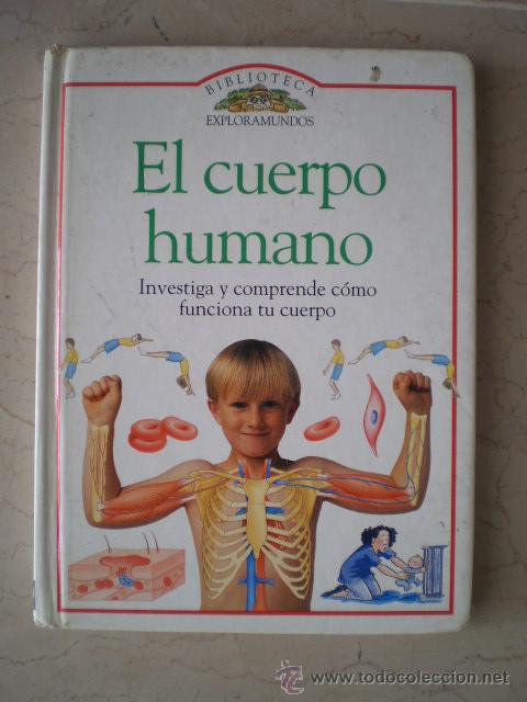 Libros de segunda mano: EL CUERPO HUMANO - EXPLORAMUNDOS - Foto 1