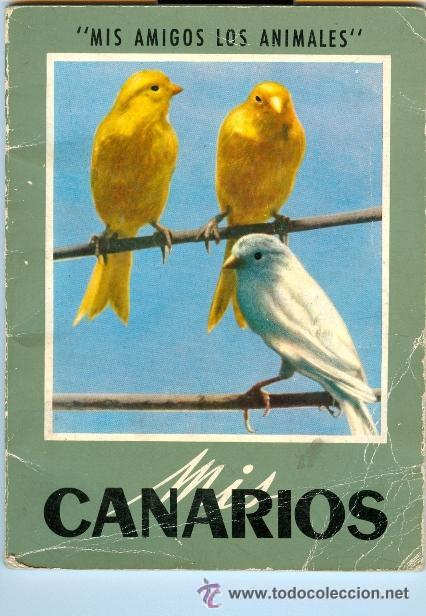 Libros de segunda mano: MIS AMIGOS LOS ANIMALES ** MIS CANARIOS ** (1964) - Foto 1