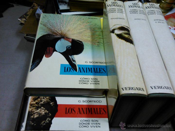 Libros de segunda mano: LOS ANIMALES. 5 tomos - Foto 1