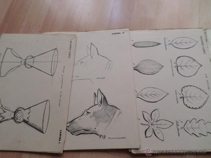Libros de segunda mano: DIBUJO. 2&ordf; CURSO_JOSE JIMENEZ NIEBLA_LAMINAS. - Foto 3
