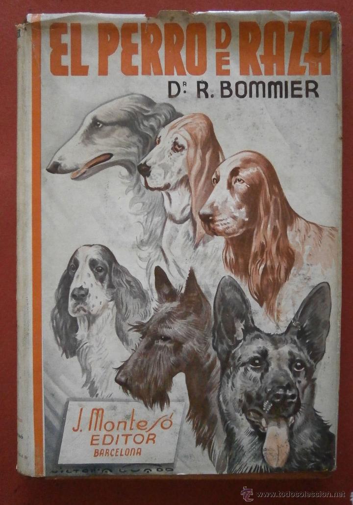 Libros de segunda mano: El perro de raza. R. Bommier - Foto 1