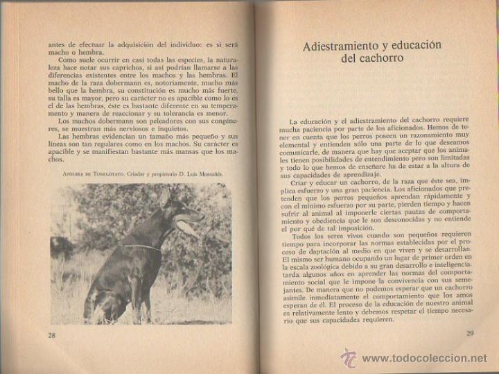 Libros de segunda mano: El doberman. Alfred Bucholz. De Vecchi, 1&ordf;  edici&oacute;n, 1984 - Foto 3