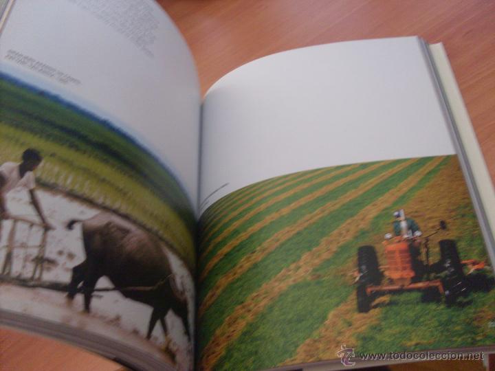 Libros de segunda mano: UNA VERDAD INCOMODA (AL GORE) PRIMERA EDICION (LB22) - Foto 3