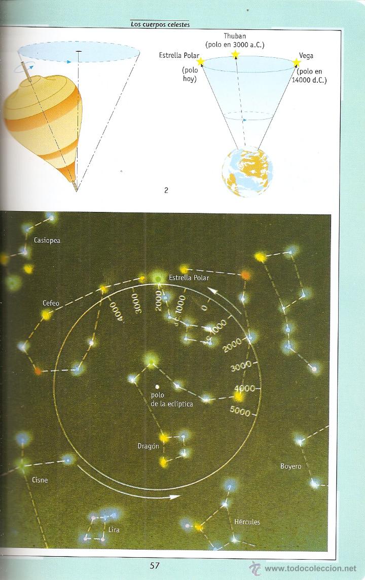 Libros de segunda mano: ATLAS DEL CIELO - MARIO RIGUTTI - SUSAETA - Foto 3