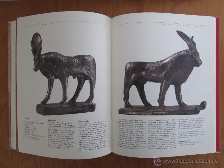 Libros de segunda mano: EL TORO Y EL MEDITERRANEO. E.D. CAJA DUERO. - Foto 6