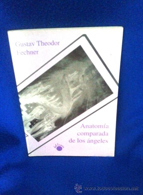 Libros de segunda mano: GUSTAV THEODOR FECHNER: ANATOM&Iacute;A COMPARADA DE LOS &Aacute;NGELES - Foto 1