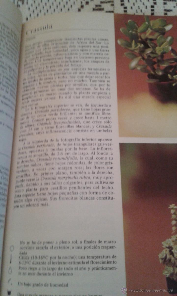 Libros de segunda mano: PLANTAS DE INTERIOR ROB HERWIG EDITORIAL BLUME - Foto 3