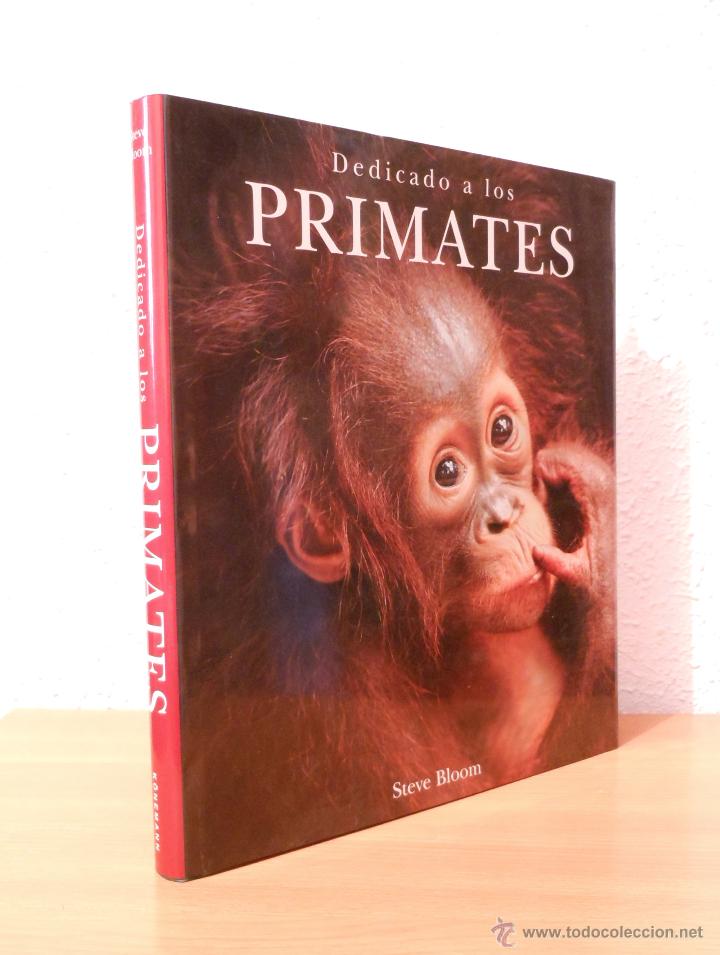 Libros de segunda mano: Dedicado a los Primates. Steve Bloom - Foto 1