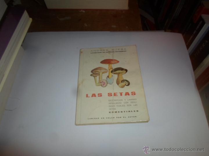 Libros de segunda mano: Andres Buesa, Las setas - Foto 1